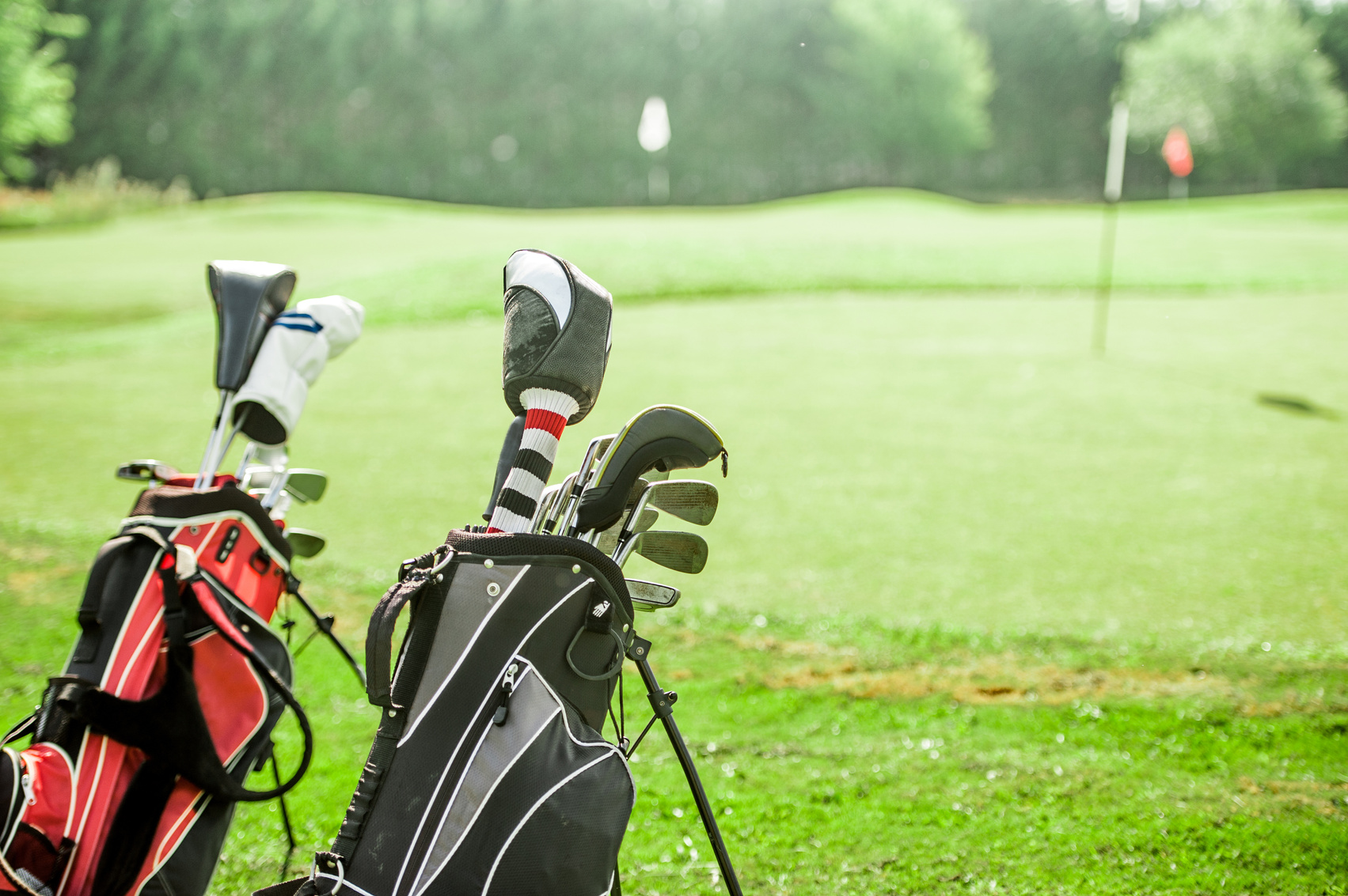 Golf Bags With Golf Clubs On Golf Course